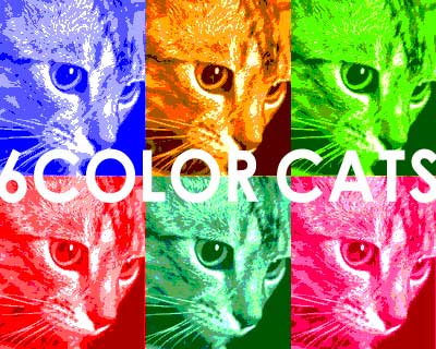 6color-cats